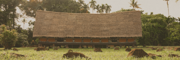 Traditional Kisedje Indigenous People home in Mato Grosso, Brazil