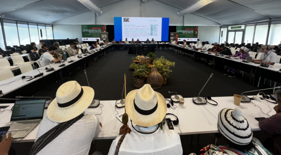 Side event during COP16 in Cali, Colombia about the New Programme of Work and the Permanent Subsidiary Body on Article 8(j). Photo: Luana Polinesio / Nia Tero.