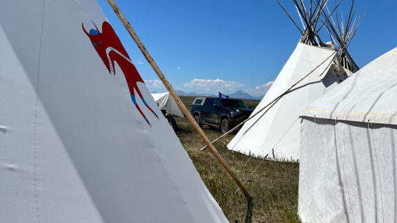 A row of white tipis standing under a bright blue sky in an open field.