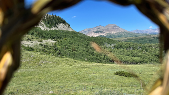 Scenic grassy hillside under blue sky.