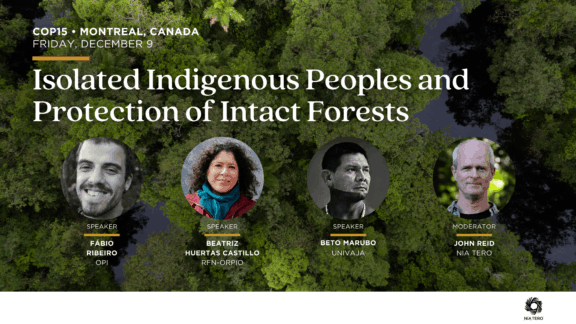 Isolated Indigenous Peoples and Protection of Intact Forests image 16x9