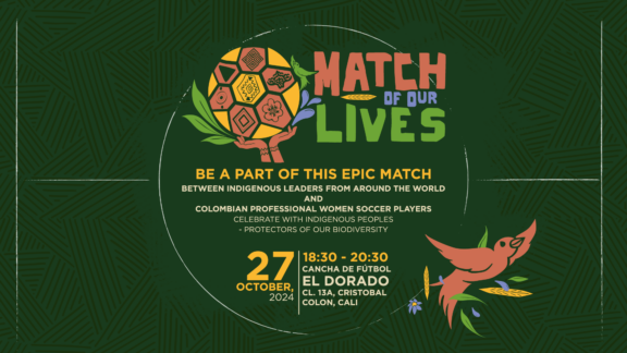 Match of Our Lives - Banner Web