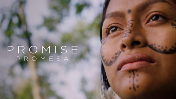 NT Promise for Website v5 101824