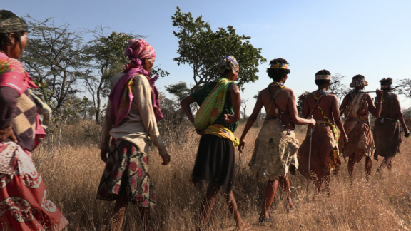 Several generations of Ju|’hoan women leave the village of Den/ui in the Nyae Nyae Conservancy to gather onions, melons and other wild foods.