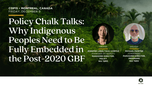 Policy Chalk Talks Why Indigenous Peoples Need to Be Fully Embedded in the Post 2020 GBF image 16x9