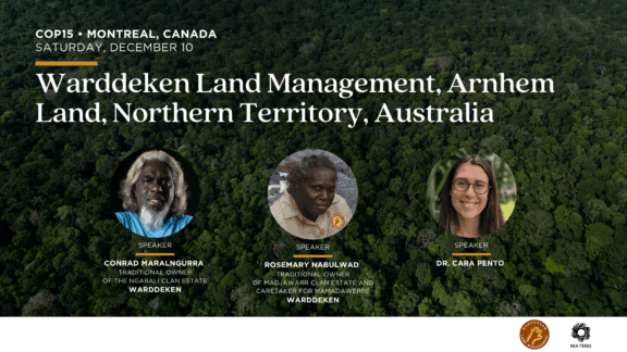 Warddeken Land Management Arnhem Land Northern Territory Australia image 16x9
