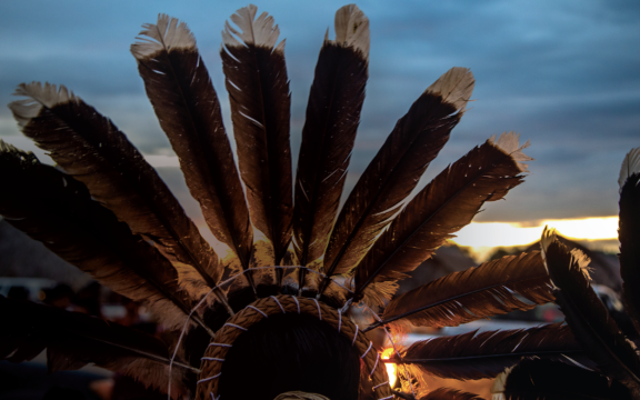 Headdress Enawene-Nawe at dusk. Enawene-Nawe Territory, Amazonia. Photo credit: Kamikia Kisedje (Kisedje)