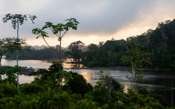 Trees and waters with the sun in the background behind billowing clouds in Wayana territory.