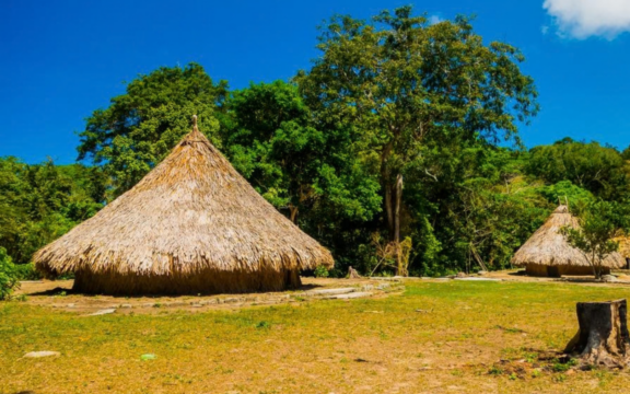 Two thatched homes sit on verdant Indigenous lands in Colombia