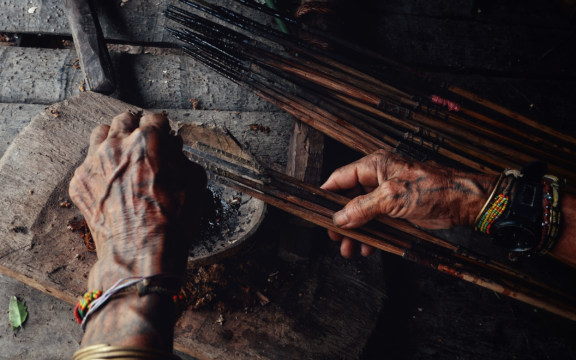 Muara Siberut, Mentawai Islands / Indonesia - Aug 15 2017: Tribal elder Toikot poisoning arrowheads for hunting at his jungle home.