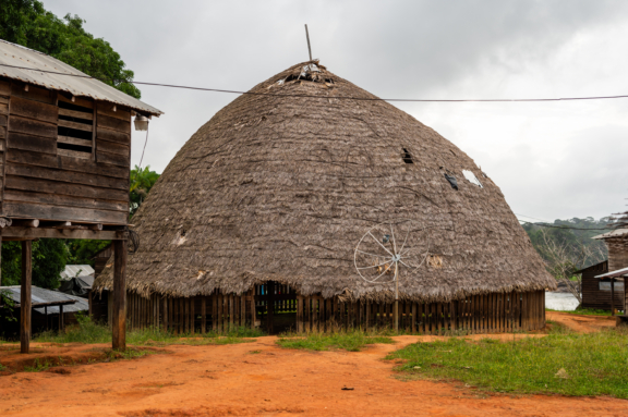 Thatched brown structures in Wayana territory.
