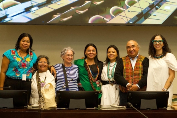 Participants and panelists at the side event on the paper presented by Colombia's Indigenous organizations during the EMRIP.