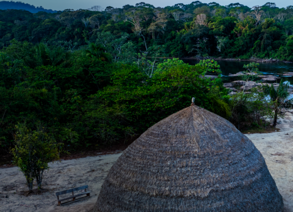 A thatched-roof hut nestled among the forest in Indigenous territory.