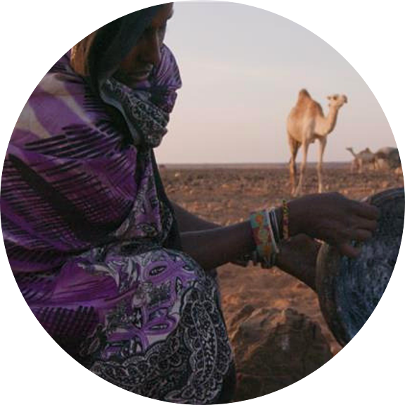 A young Gabbra mother pours fresh camel milk into a container with a camel standing in the distance nearby..