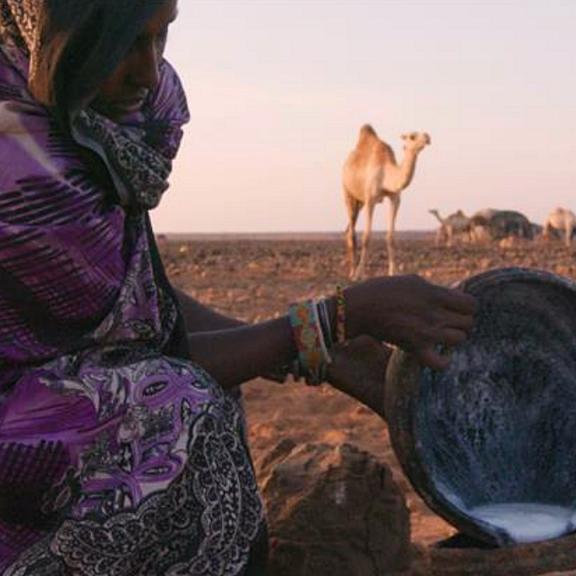 On the outskirts of the village of Yaa Odola, a young Gabbra mother pours fresh camel milk into a hand woven container called a Gorf to bring back to her family.